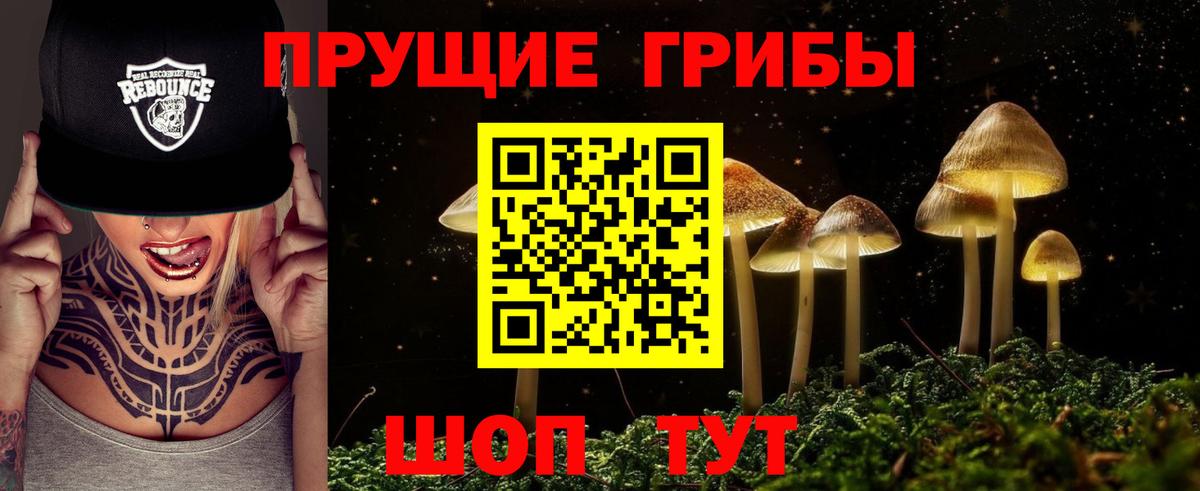 Узловая  Галлюциногенные грибы GOLDEN TEACHER  Псилоцибиновые грибы GOLDEN TEACHER  Вход с VPN 